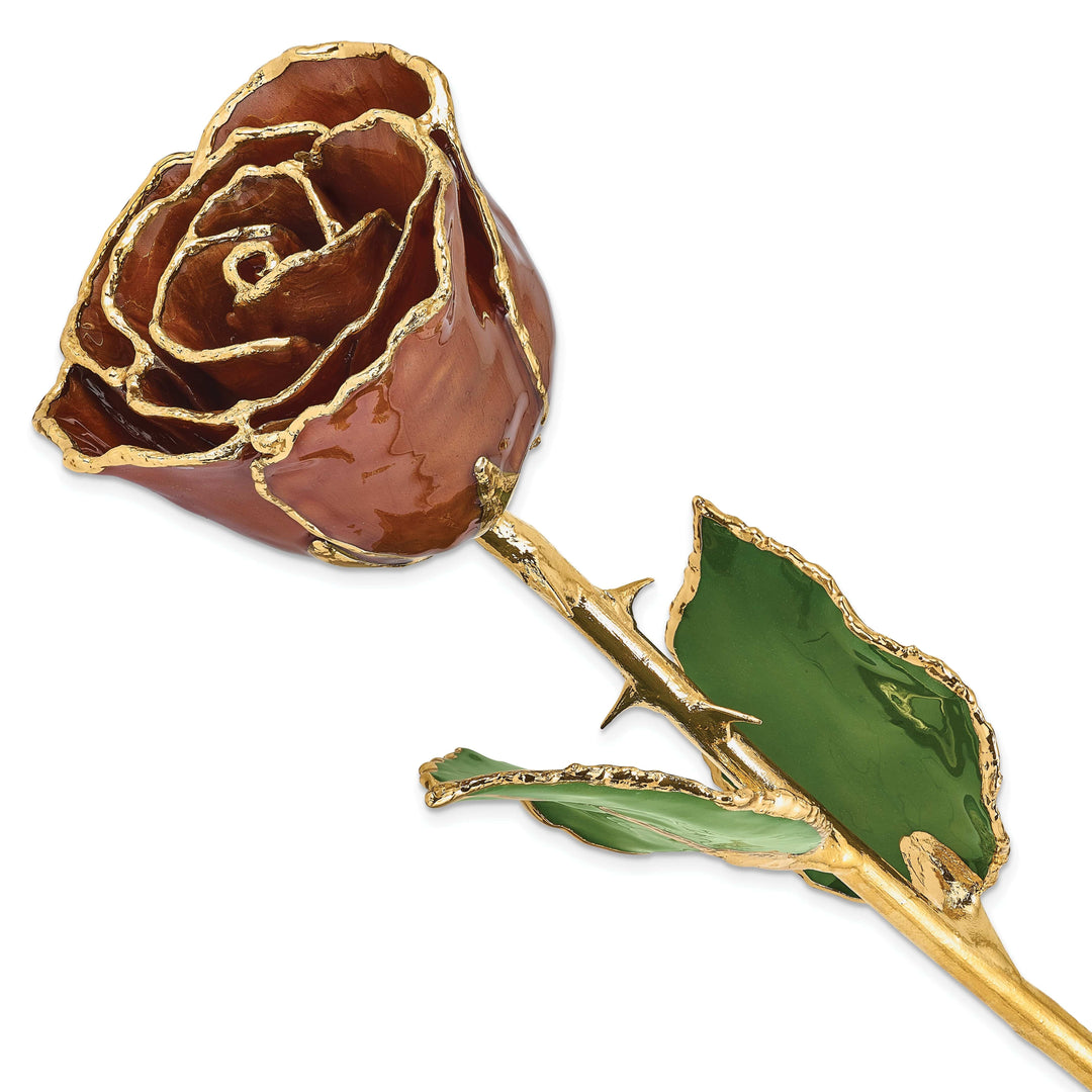 Lovely Rita's Trimmed Rose 24k Gold Plated Trim Cinnamon Pearl Rose