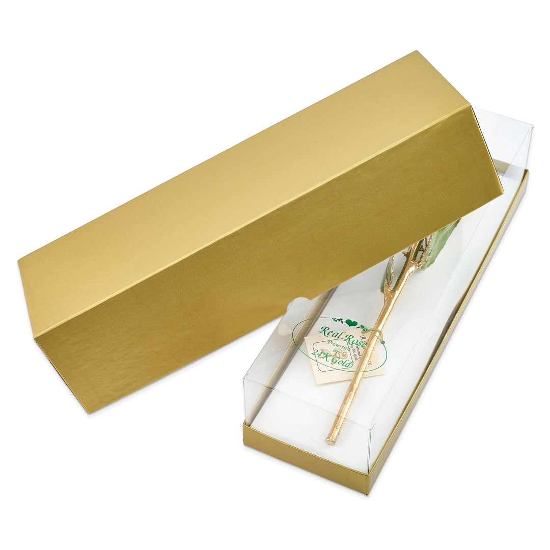 Lovely Rita's Trimmed Rose 24k Gold Plated Trim Green Rose