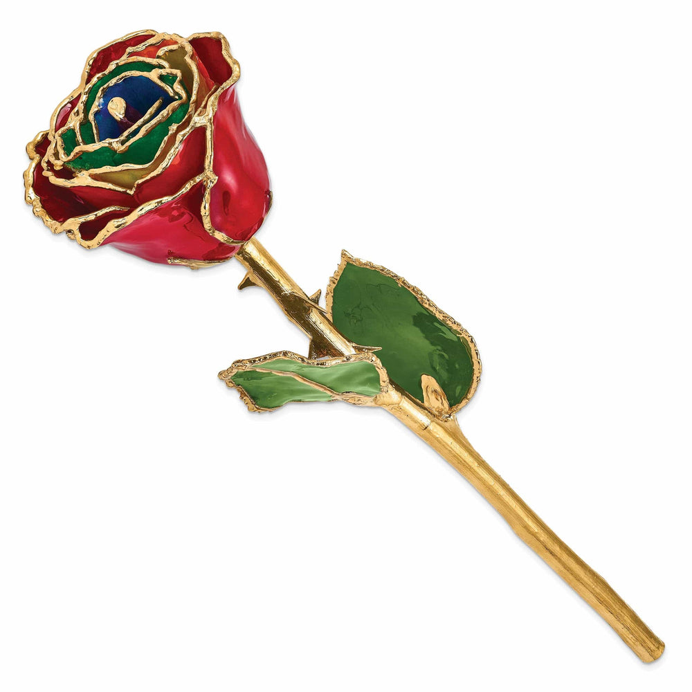 Lovely Rita's Trimmed Rose 24k Gold Plated Trim Gypsy Rainbow Rose
