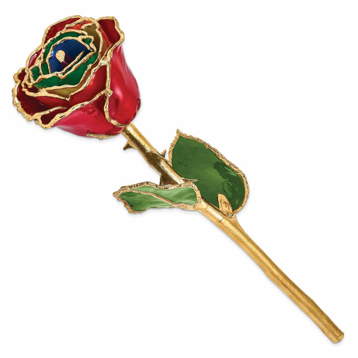 Lovely Rita's Trimmed Rose 24k Gold Plated Trim Gypsy Rainbow Rose