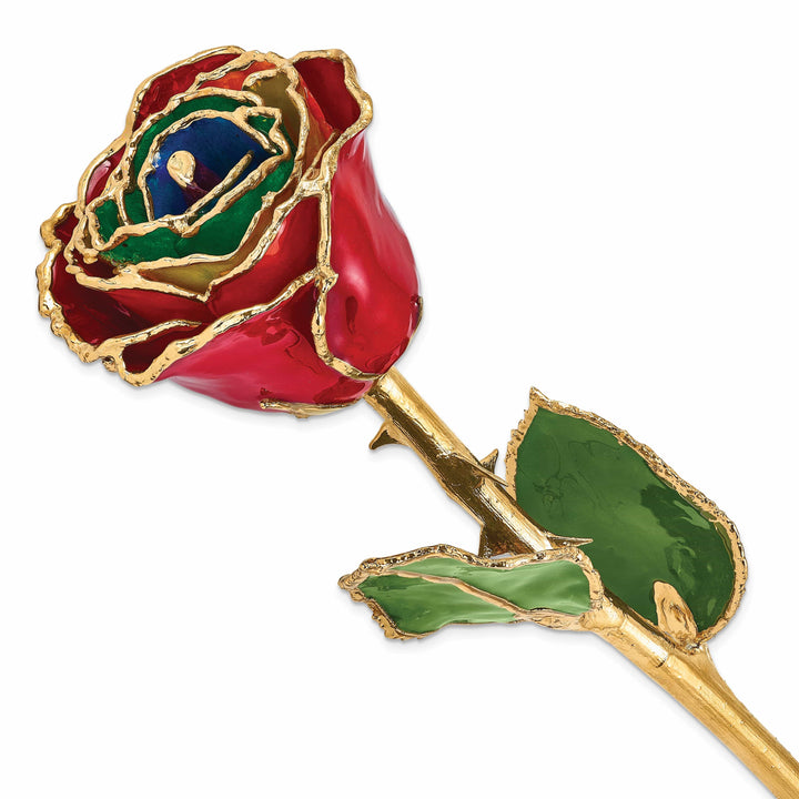 Lovely Rita's Trimmed Rose 24k Gold Plated Trim Gypsy Rainbow Rose