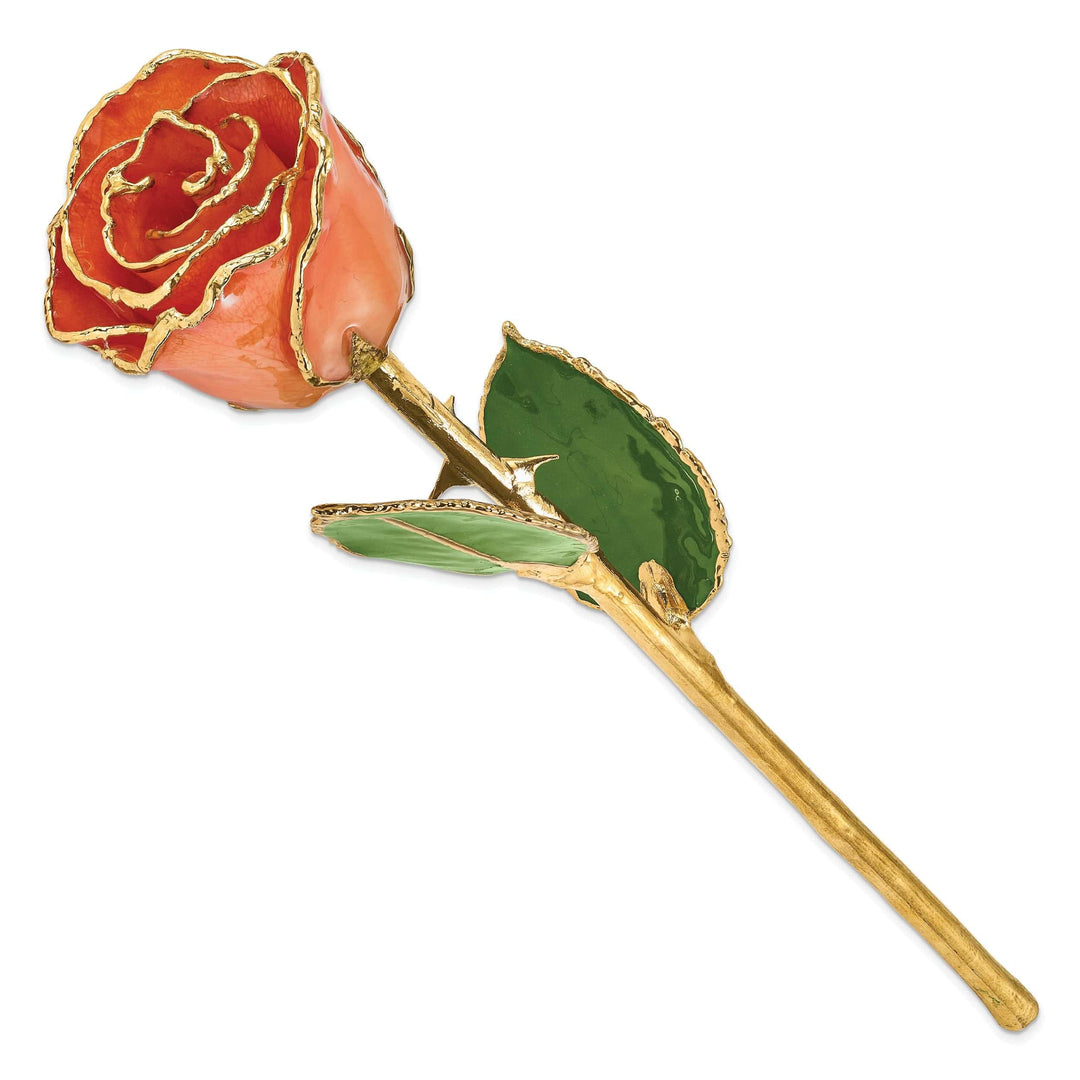 Lovely Rita's Trimmed Rose 24k Gold Plated Trim Orange Rose
