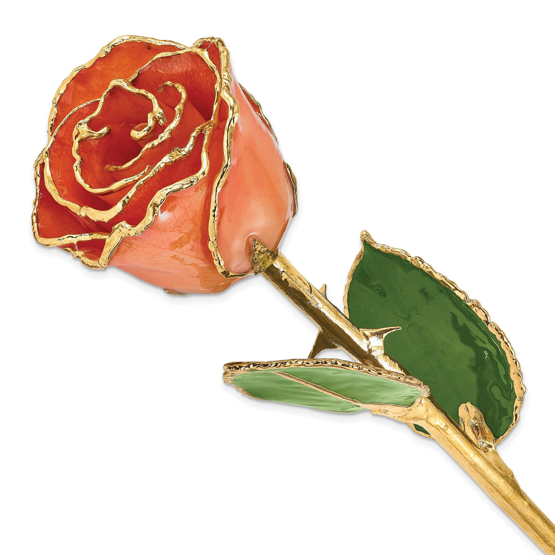 Lovely Rita's Trimmed Rose 24k Gold Plated Trim Orange Rose