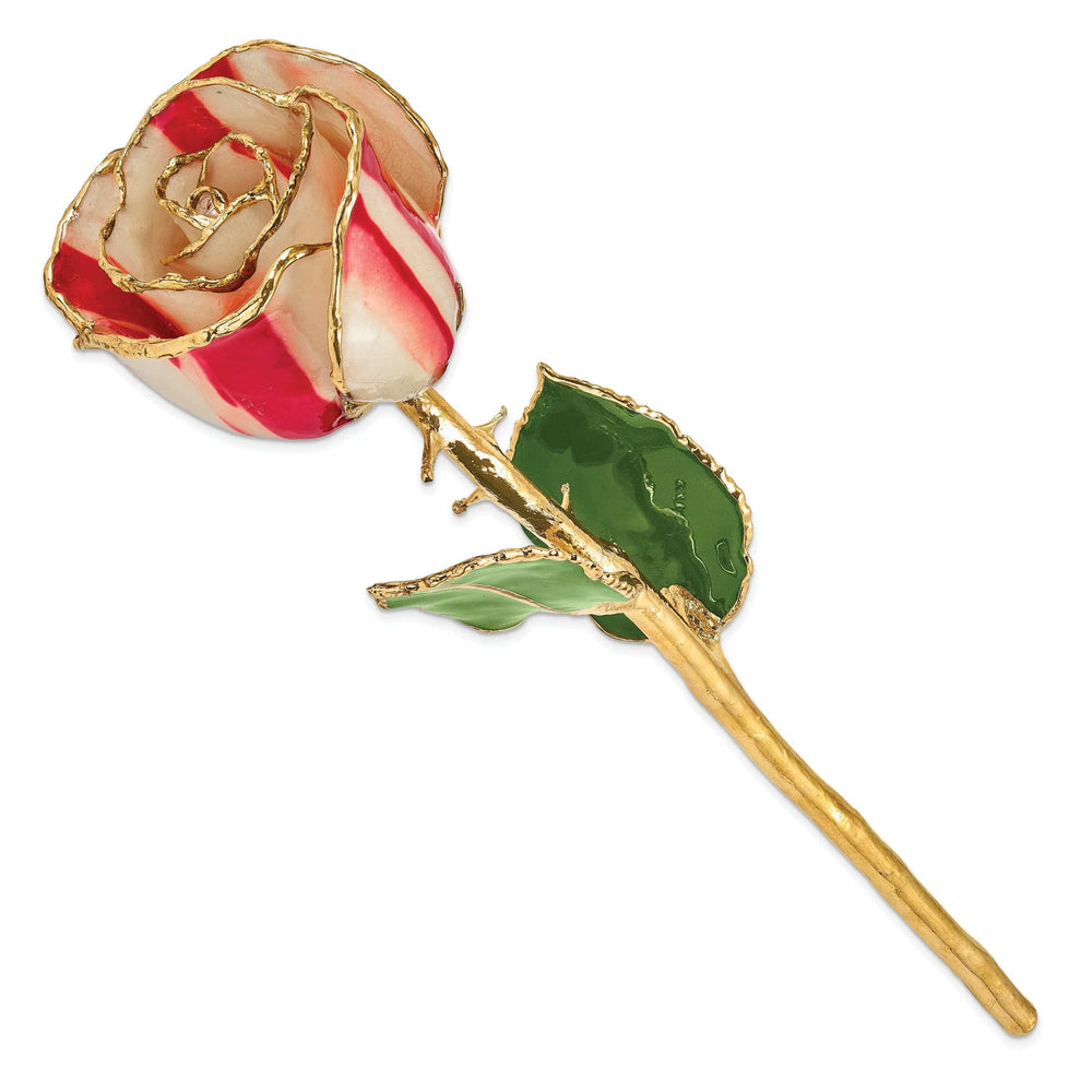 Lovely Rita's Trimmed Rose 24k Gold Plated Trim Peppermint Rose