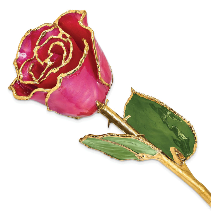 Lovely Rita's Trimmed Rose 24k Gold Plated Trim Plum Fuchsia Rose