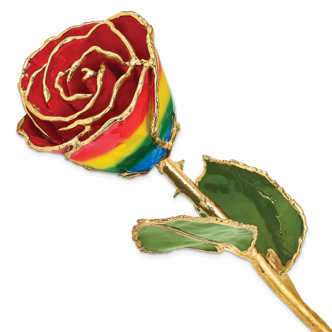 Lovely Rita's Trimmed Rose 24k Gold Plated Trim Rainbow Rose