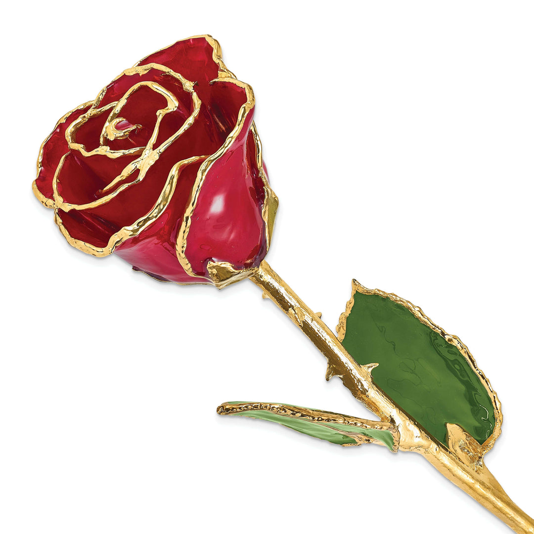 Lovely Rita's Trimmed Rose 24k Gold Plated Trim Red Rose