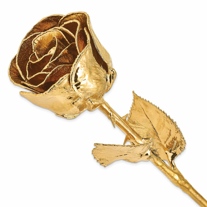 Lovely Rita's Trimmed Rose 24k Gold Plated Trim Rose