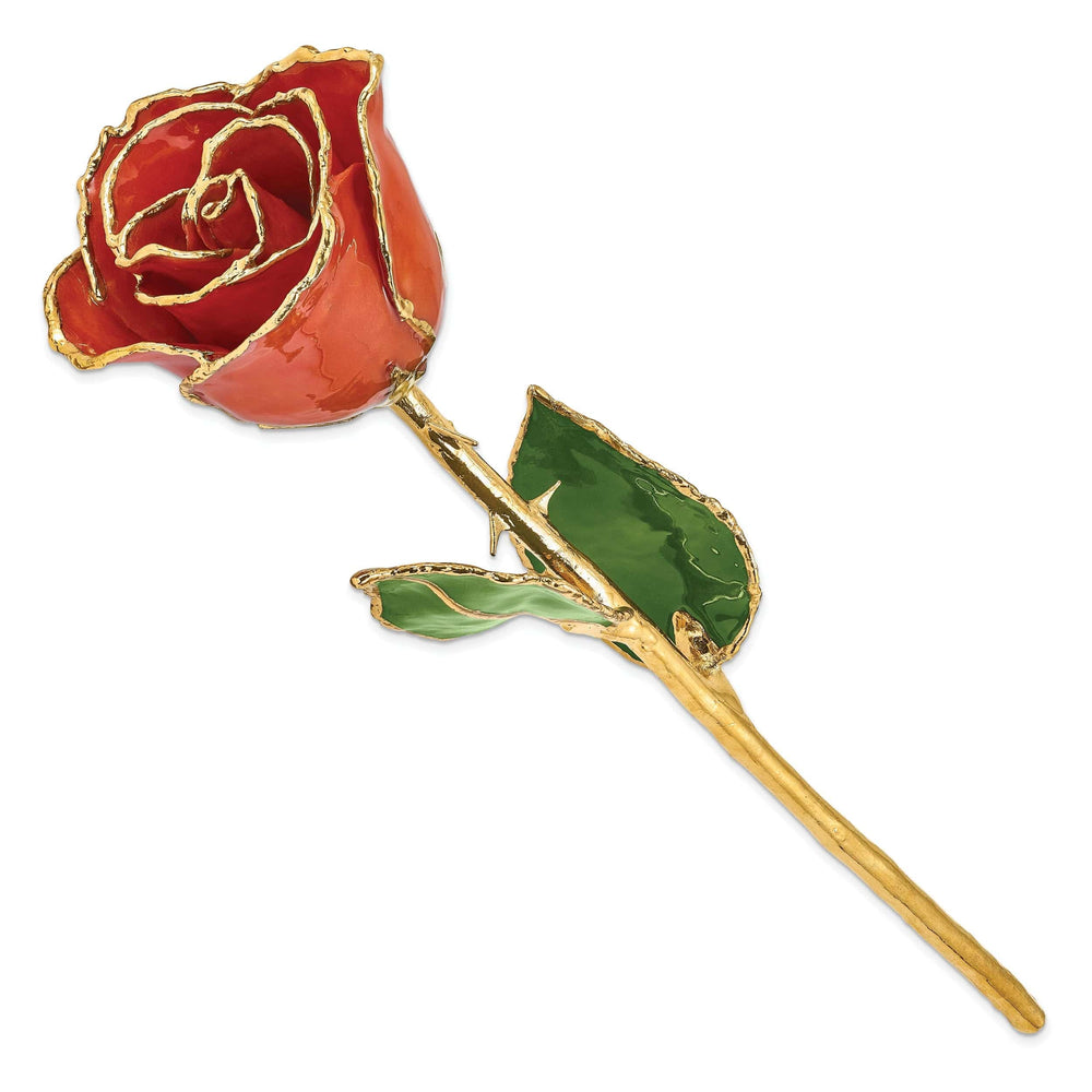 Lovely Rita's Trimmed Rose 24k Gold Plated Trim Sonia Pearl Rose