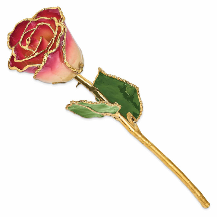 Lovely Rita's Trimmed Rose 24k Gold Plated Trim White and Burgundy Rose