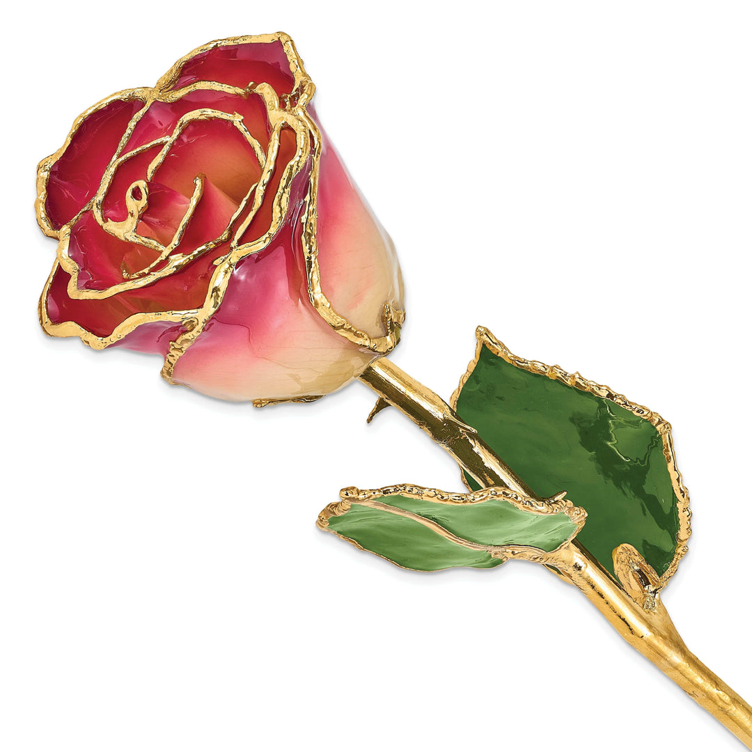 Lovely Rita's Trimmed Rose 24k Gold Plated Trim White and Burgundy Rose