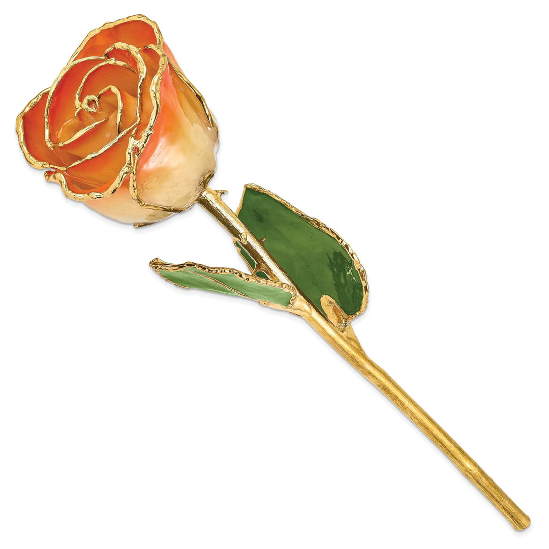 Lovely Rita's Trimmed Rose 24k Gold Plated Trim White and Orange Rose