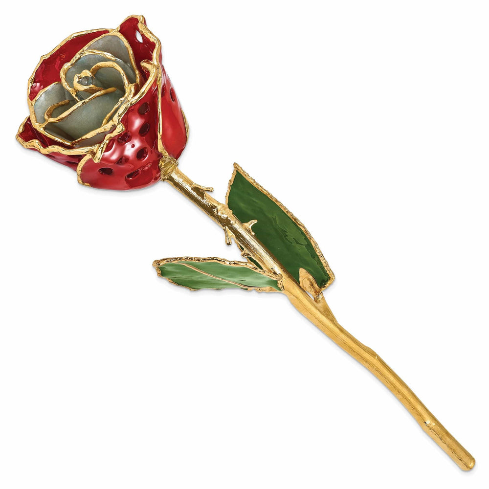 Lovely Rita's Trimmed Rose 24k Gold Plated Trim White Red with Holes Rose