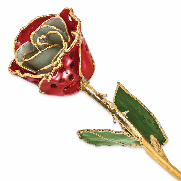 Lovely Rita's Trimmed Rose 24k Gold Plated Trim White Red with Holes Rose