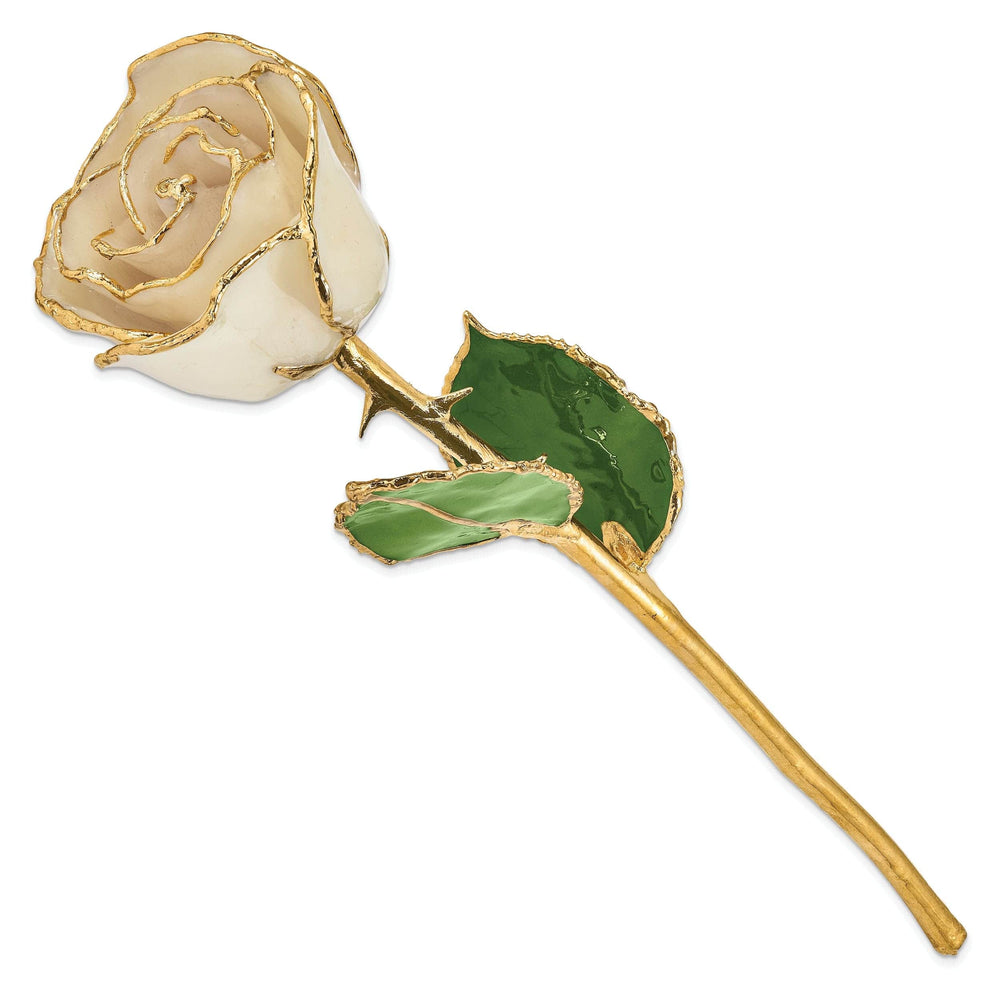 Lovely Rita's Trimmed Rose 24k Gold Plated Trim White Rose