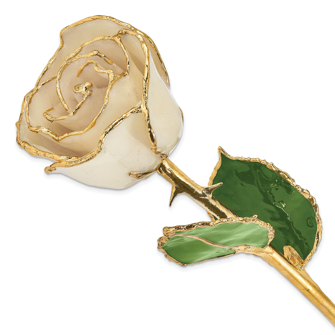 Lovely Rita's Trimmed Rose 24k Gold Plated Trim White Rose