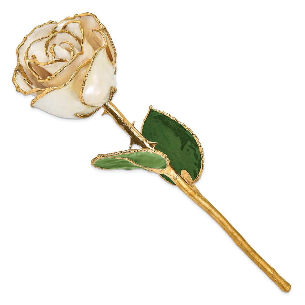 Lovely Rita's Trimmed Rose 24k Gold Plated Trim White Satin Rose