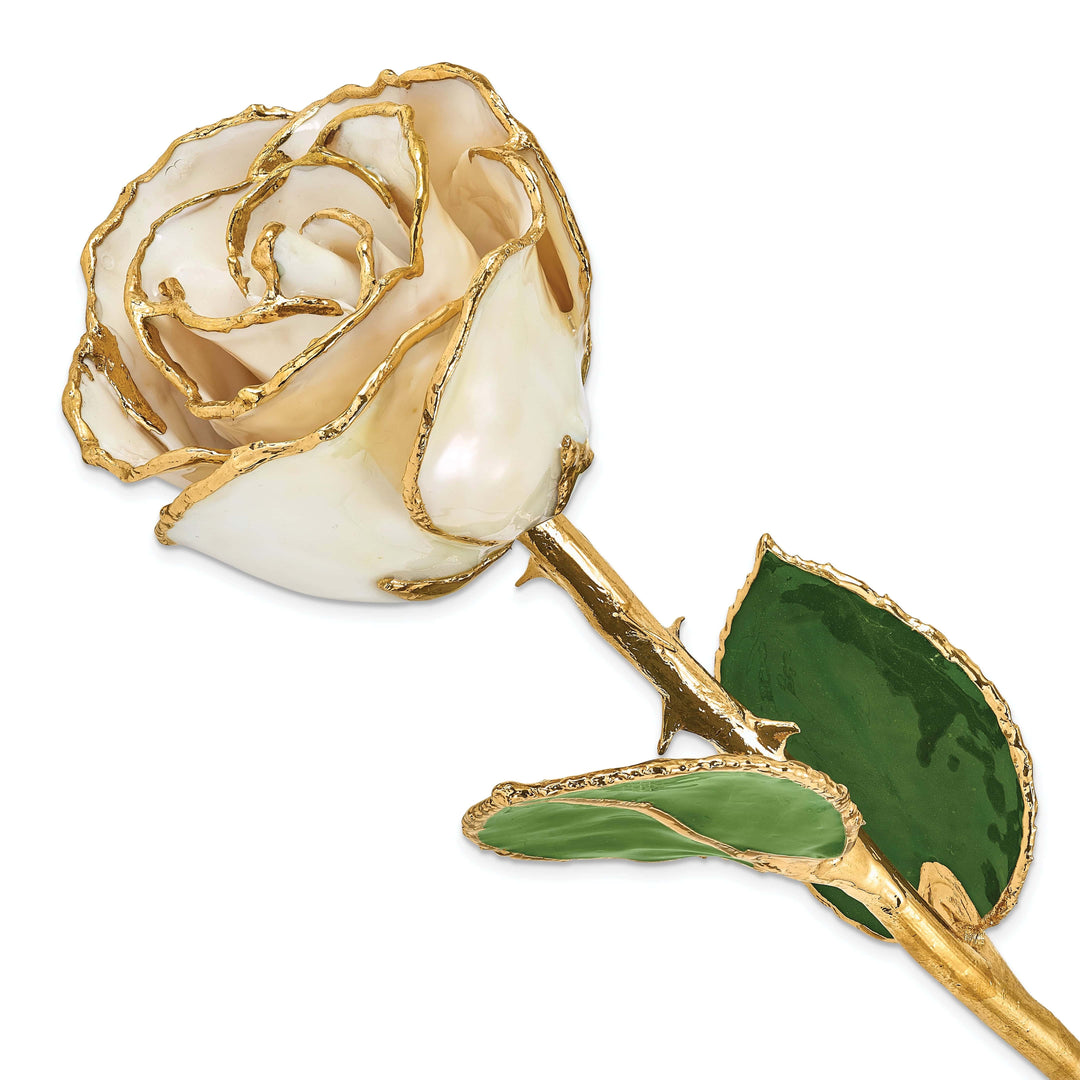 Lovely Rita's Trimmed Rose 24k Gold Plated Trim White Satin Rose