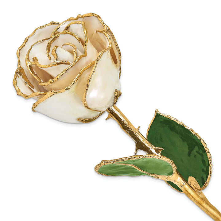 Lovely Rita's Trimmed Rose 24k Gold Plated Trim White Satin Rose