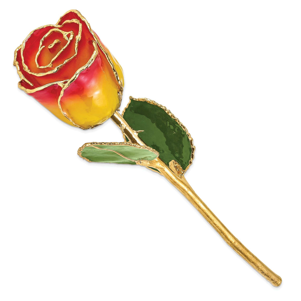 Lovely Rita's Trimmed Rose 24k Gold Plated Trim Yellow Red Rose
