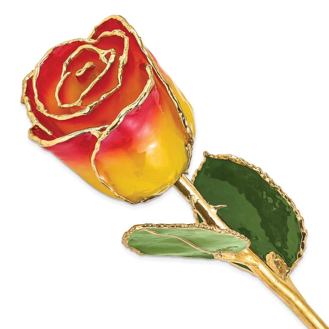 Lovely Rita's Trimmed Rose 24k Gold Plated Trim Yellow Red Rose