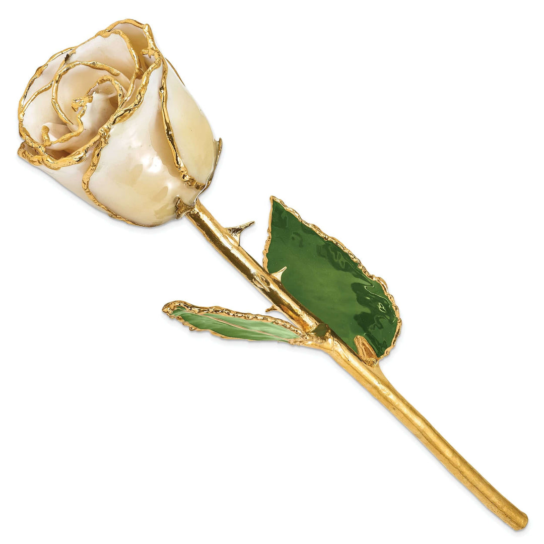 Lovely Rita's Trimmed Rose 24k Gold Plated Trimmed Cream and White Rose
