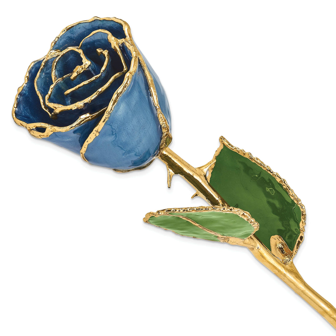 Lovely Rita's Trimmed Rose 24k Gold Plated Trimmed Navy Pearl Rose