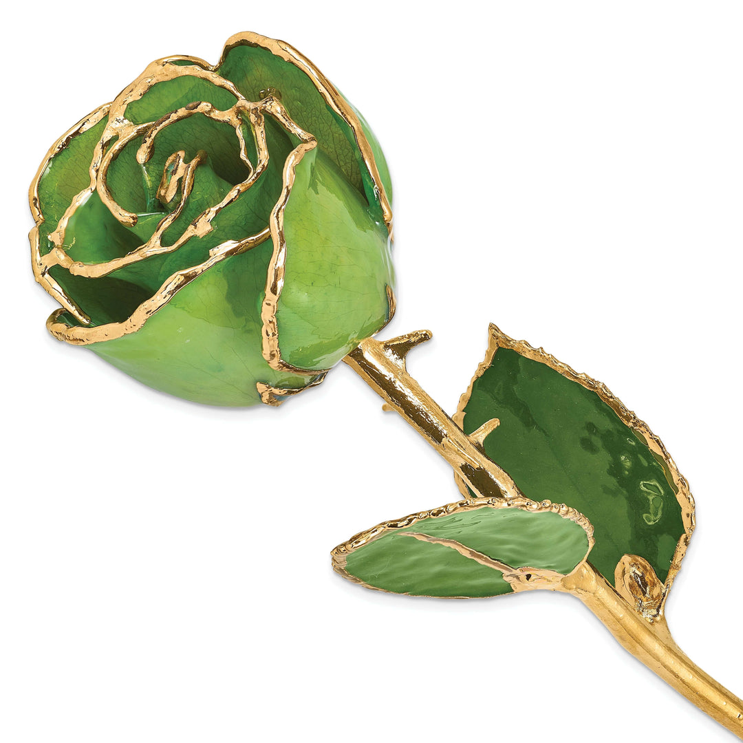 Lovely Rita's Trimmed Rose 24k Gold Plated Trimmed Peridot Topaz Rose