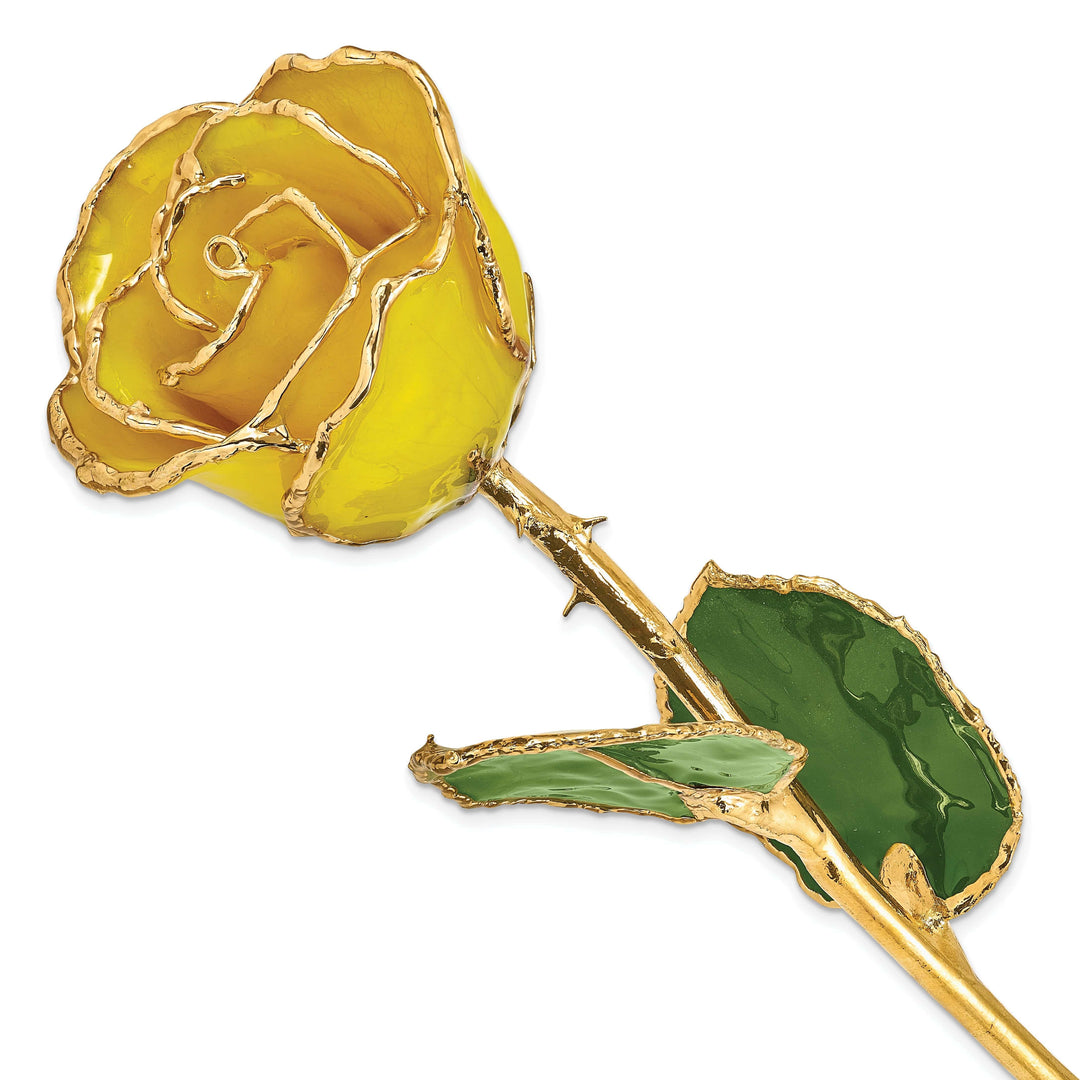 Lovely Rita's Trimmed Rose Lacquer Dipped 24k Gold Plated Trim Yellow Rose